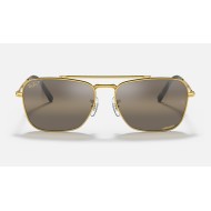 NEW CARAVAN
Lenses: Polarized Silver Brown Chromance Mirror  +  Frame: Legend Gold