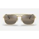 NEW CARAVAN
Lenses: Polarized Silver Brown Chromance Mirror  +  Frame: Legend Gold
