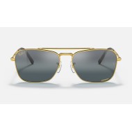 NEW CARAVAN
Lenses: Polarized Silver/Blue Chromance Mirror  +  Frame: Legend Gold