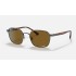 RB3664CH CHROMANCE
Lenses: Polarized Brown Classic  +  Frame: Shiny Brown