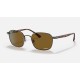 RB3664CH CHROMANCE
Lenses: Polarized Brown Classic  +  Frame: Shiny Brown