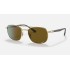 RB3670 CHROMANCE
Lenses: Polarized Brown Classic  +  Frame: Gold