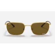 RB3684CH CHROMANCE
Lenses: Polarized Brown Classic  +  Frame: Gold