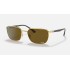 RB3684CH CHROMANCE
Lenses: Polarized Brown Classic  +  Frame: Gold