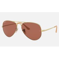 AVIATOR METAL II
Lenses: Polarized Purple Classic  +  Frame: Gold