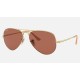 AVIATOR METAL II
Lenses: Polarized Purple Classic  +  Frame: Gold