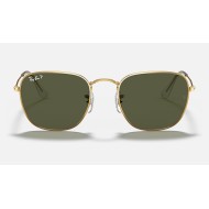 FRANK
Lenses: Polarized Green Classic G-15  +  Frame: Shiny Gold