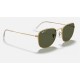 FRANK
Lenses: Polarized Green Classic G-15  +  Frame: Shiny Gold