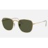 FRANK
Lenses: Polarized Green Classic G-15  +  Frame: Shiny Gold