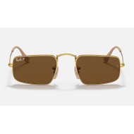 Julie
Lenses: Polarized Brown Classic B-15  +  Frame: Legend Gold