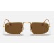Julie
Lenses: Polarized Brown Classic B-15  +  Frame: Legend Gold