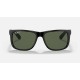 RB4165 JUSTIN MICKEY D20
Lenses: Polarized Dark Green Classic  +  Frame: Black
