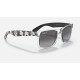RB4165 JUSTIN MICKEY A21
Lenses: Polarized Grey Gradient  +  Frame: Transparent