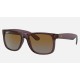 JUSTIN CLASSIC
Lenses: Polarized Brown Gradient  +  Frame: Transparent Dark Brown