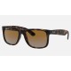 JUSTIN CLASSIC
Lenses: Polarized Brown Gradient  +  Frame: Tortoise