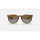 ERIKA @Collection
Lenses: Polarized Brown Gradient  +  Frame: Tortoise
