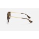 ERIKA @Collection
Lenses: Polarized Brown Gradient  +  Frame: Tortoise