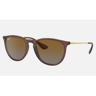 ERIKA CLASSIC
Lenses: Polarized Brown Gradient  +  Frame: Transparent Dark Brown