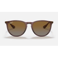 ERIKA CLASSIC
Lenses: Polarized Brown Gradient  +  Frame: Transparent Dark Brown