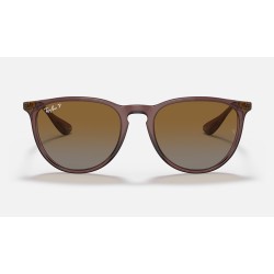 ERIKA CLASSIC
Lenses: Polarized Brown Gradient  +  Frame: Transparent Dark Brown