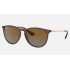 ERIKA CLASSIC
Lenses: Polarized Brown Gradient  +  Frame: Transparent Dark Brown