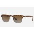 RB4190
Lenses: Polarized Brown Gradient  +  Frame: Tortoise