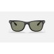 WAYFARER LITEFORCE
Lenses: Polarized Green Classic G-15  +  Frame: Black