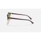 CLUBROUND CLASSIC
Lenses: Polarized Green Classic G-15  +  Frame: Red Havana