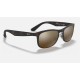RB4263 CHROMANCE
Lenses: Polarized Bronze Chromance Mirror  +  Frame: Tortoise