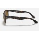 RB4263 CHROMANCE
Lenses: Polarized Bronze Chromance Mirror  +  Frame: Tortoise