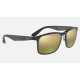 RB4264 CHROMANCE
Lenses: Polarized Green Chromance Mirror  +  Frame: Grey