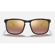 RB4264 CHROMANCE
Lenses: Polarized Purple Chromance Mirror  +  Frame: Tortoise