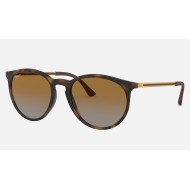RB4274
Lenses: Polarized Brown Gradient  +  Frame: Tortoise