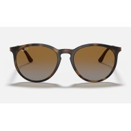 RB4274
Lenses: Polarized Brown Gradient  +  Frame: Tortoise