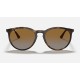 RB4274
Lenses: Polarized Brown Gradient  +  Frame: Tortoise