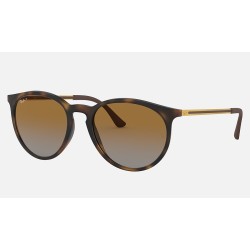 RB4274
Lenses: Polarized Brown Gradient  +  Frame: Tortoise