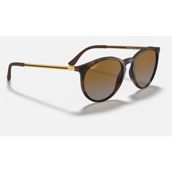 RB4274
Lenses: Polarized Brown Gradient  +  Frame: Tortoise