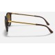 RB4274
Lenses: Polarized Brown Gradient  +  Frame: Tortoise