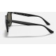 RB4306
Lenses: Polarized Green Classic G-15  +  Frame: Black