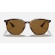 RB4306
Lenses: Polarized Brown Classic B-15  +  Frame: Light Tortoise