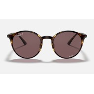 RB4336CH CHROMANCE
Lenses: Polarized Violet Classic  +  Frame: Shiny Tortoise