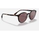 RB4336CH CHROMANCE
Lenses: Polarized Violet Classic  +  Frame: Shiny Tortoise