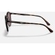 RB4336CH CHROMANCE
Lenses: Polarized Violet Classic  +  Frame: Shiny Tortoise