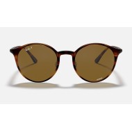 RB4336CH CHROMANCE
Lenses: Polarized Brown Classic  +  Frame: Striped Red Havana