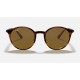 RB4336CH CHROMANCE
Lenses: Polarized Brown Classic  +  Frame: Striped Red Havana