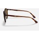 RB4336CH CHROMANCE
Lenses: Polarized Brown Classic  +  Frame: Striped Red Havana