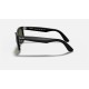 WAYFARER EASE
Lenses: Polarized Green Classic G-15  +  Frame: Black