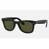 WAYFARER EASE
Lenses: Polarized Green Classic G-15  +  Frame: Black