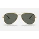 AVIATOR TITANIUM
Lenses: Polarized Green Classic G-15  +  Frame: Gold