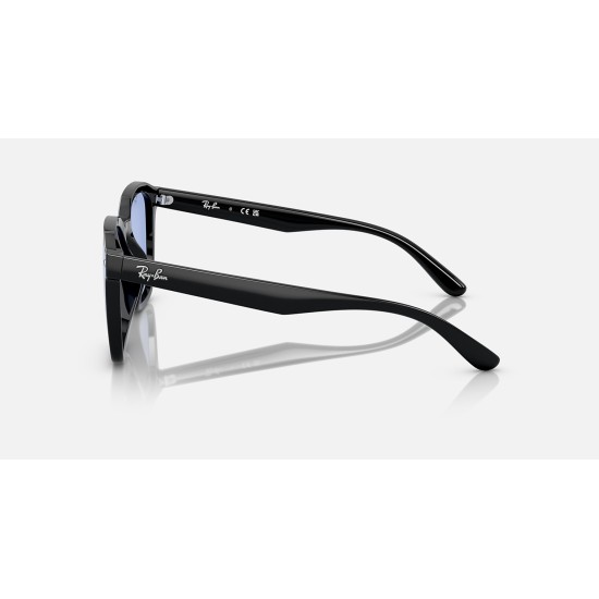 RB4392 WASHED LENSES